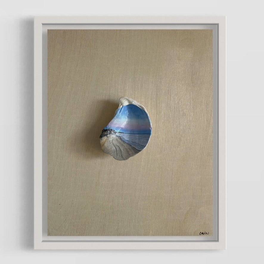 Sunset Trails - The Seashell Collection