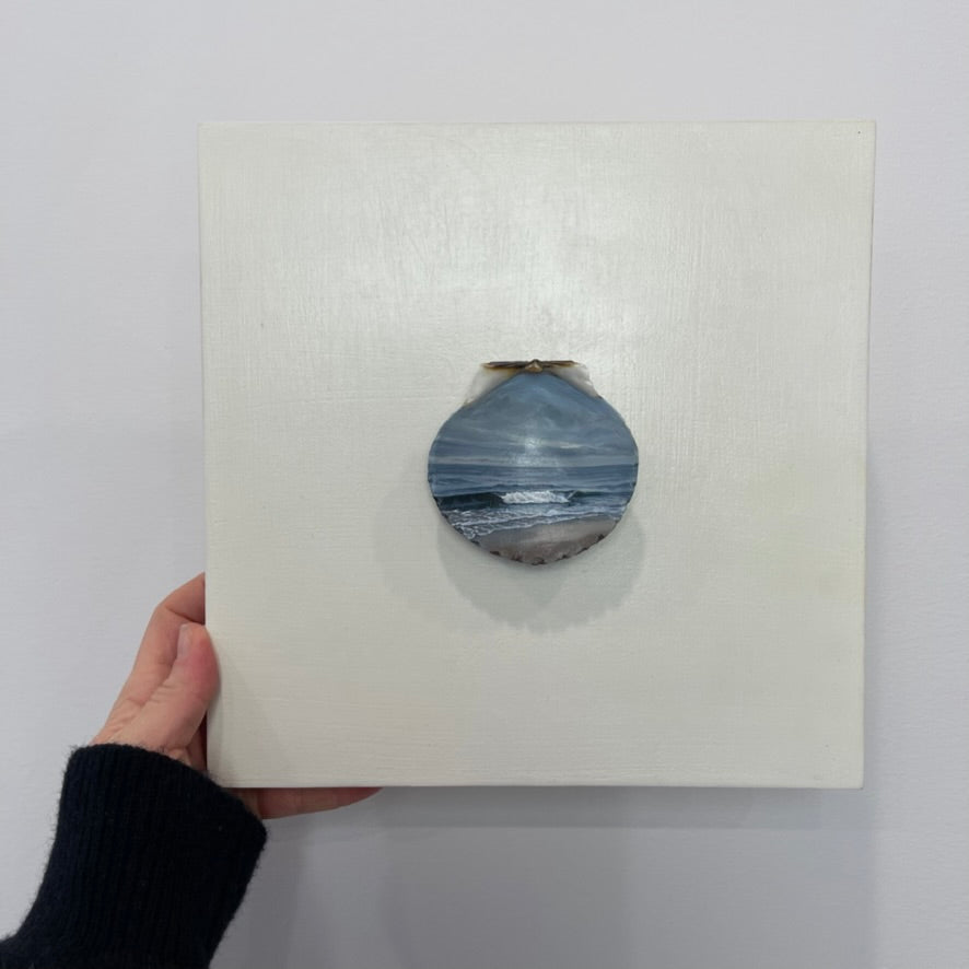 Above Me, It's Bright - The Seashell Collection