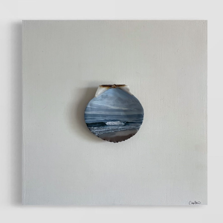 Above Me, It's Bright - The Seashell Collection
