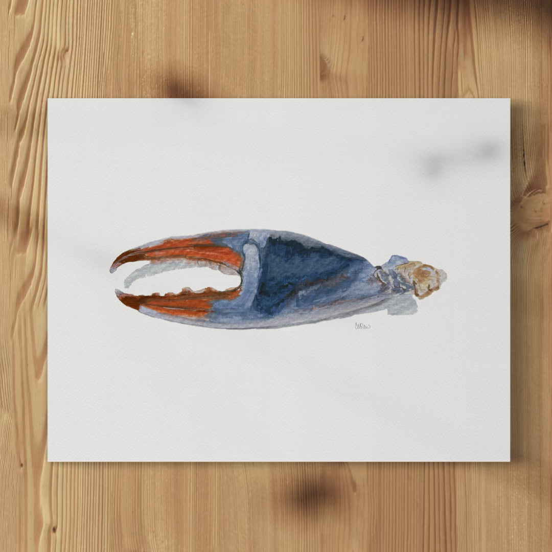 A framed watercolor print of a crab claw, with a blue, orange, and beige color palette, displayed against a white background.