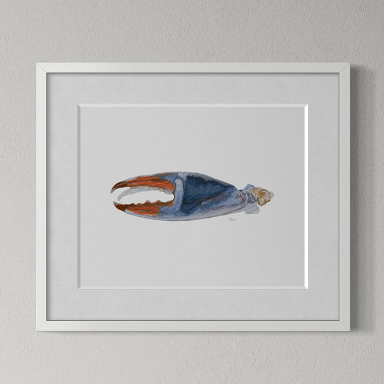 Framed artwork of a crab claw on a gray wall