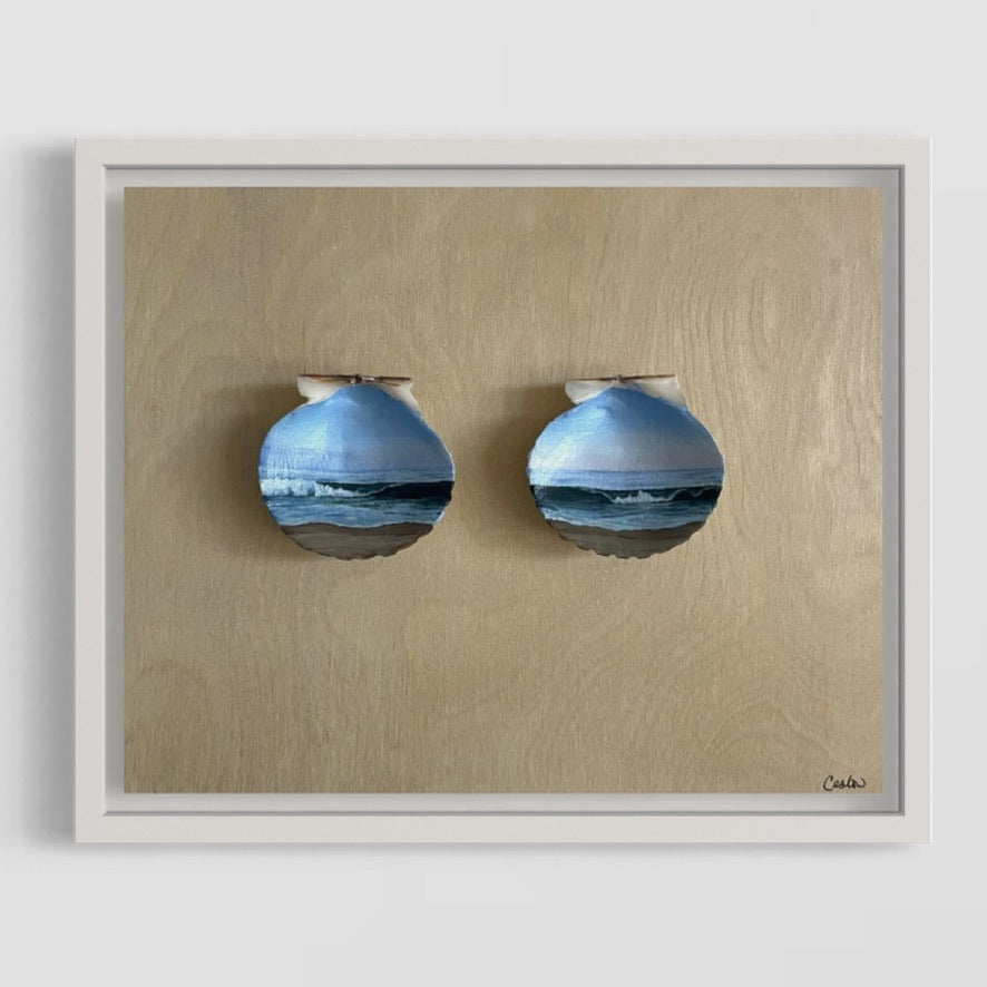 A Dance Across The Shoreline - The Seashell Collection