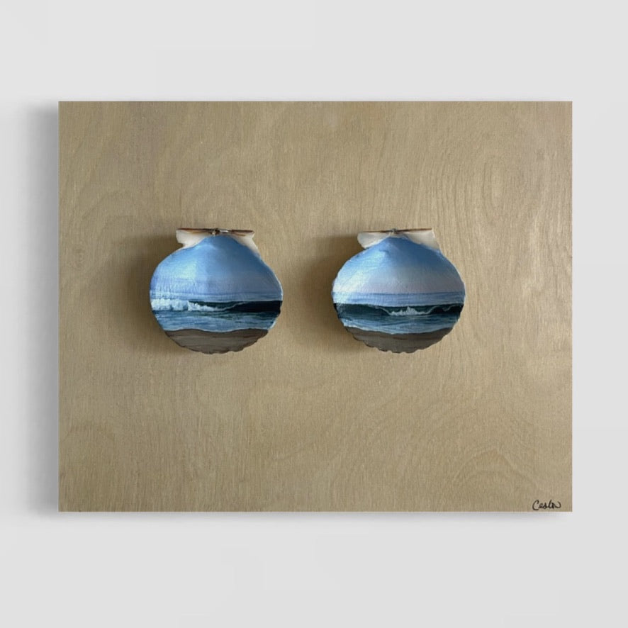 A Dance Across The Shoreline - The Seashell Collection