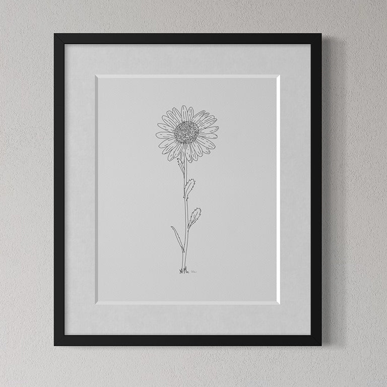Daisy Line Drawing - Print