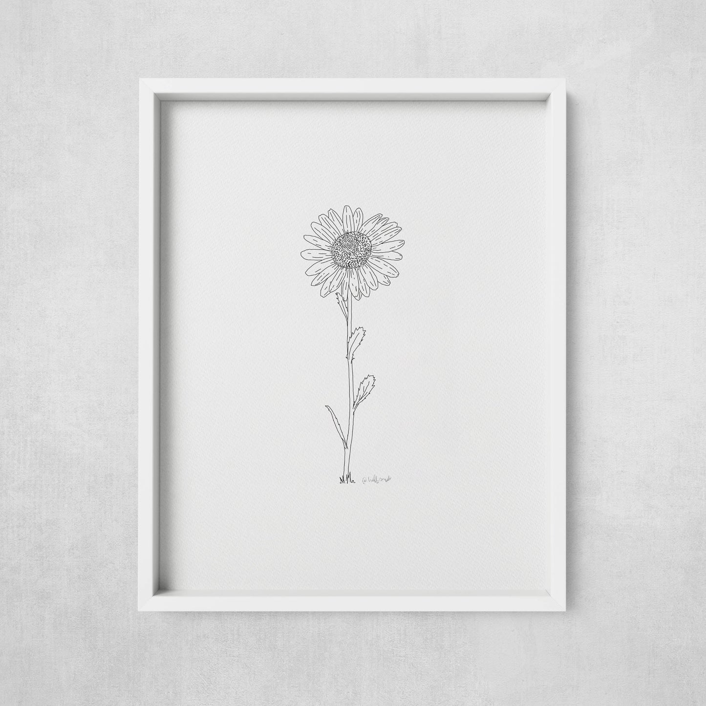 A framed print of a hand-drawn black ink illustration of a single daisy, displayed on a wall.