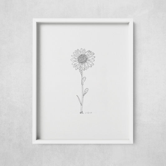 A framed print of a hand-drawn black ink illustration of a single daisy, displayed on a wall.