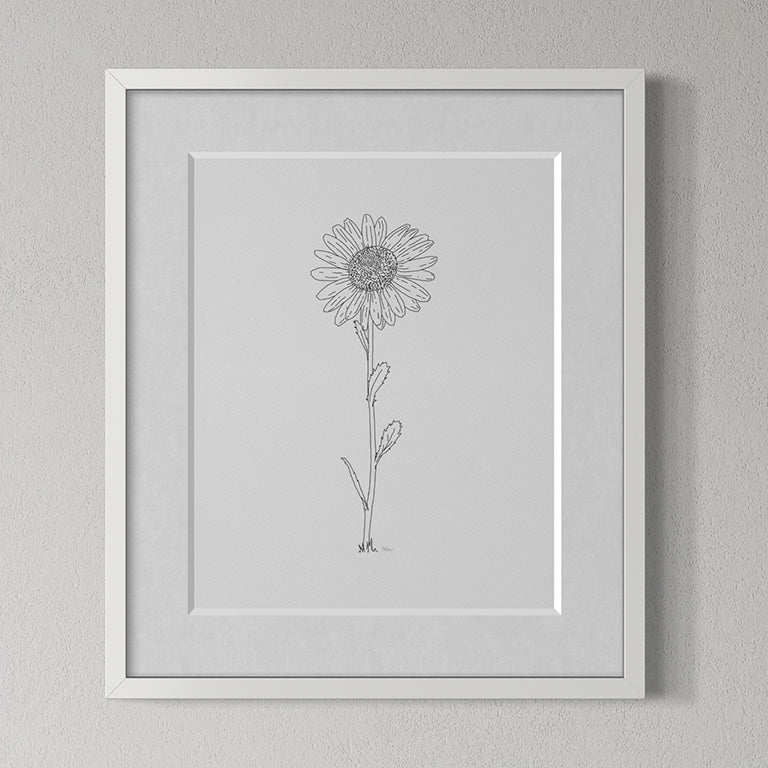 Daisy Line Drawing - Print