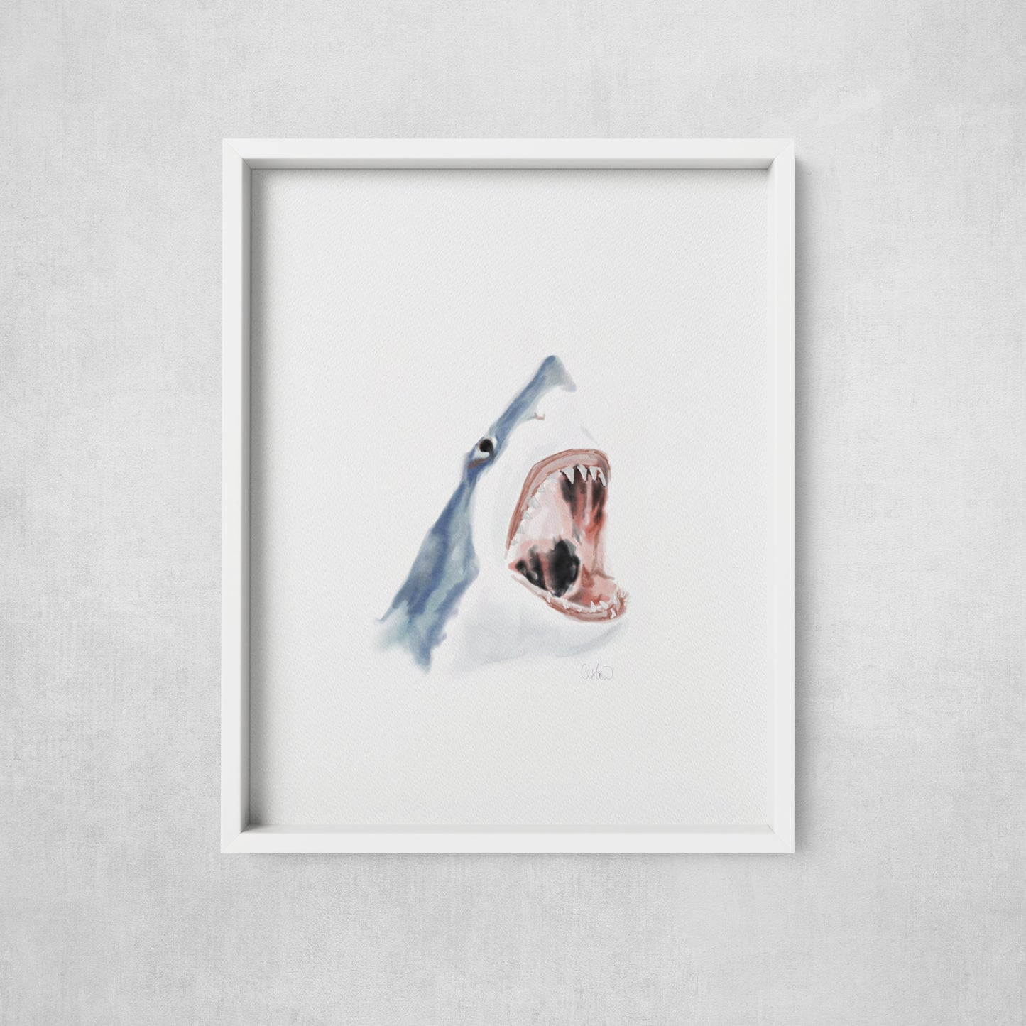 Great White Shark - Print