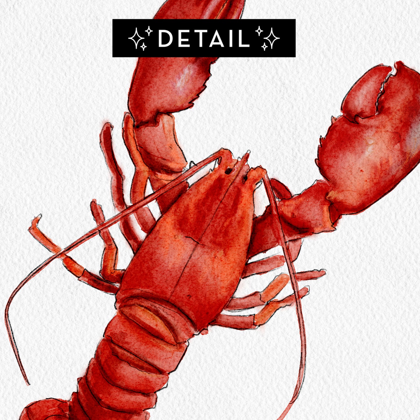 Lobster- Print