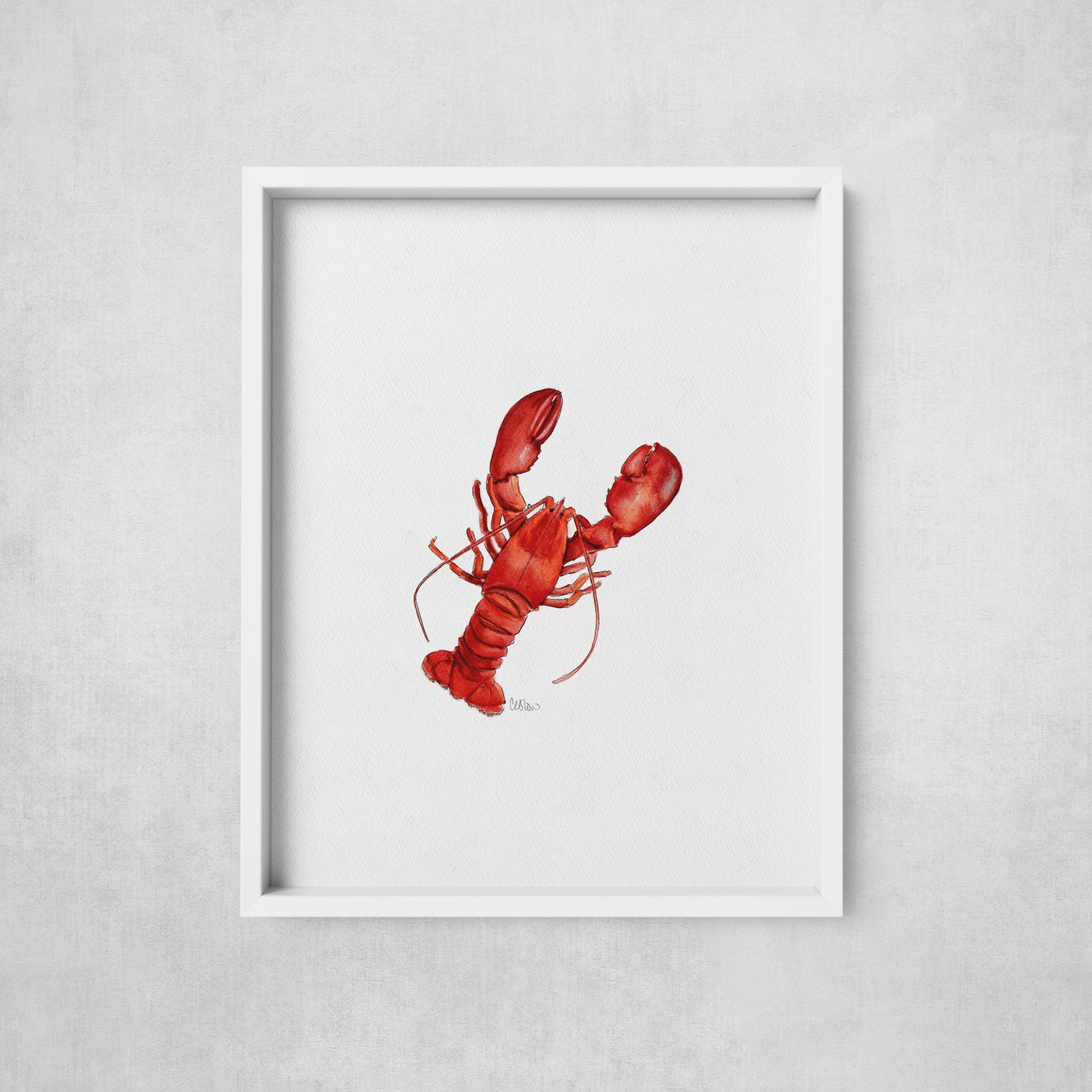 Framed artwork of a red lobster on a gray wall