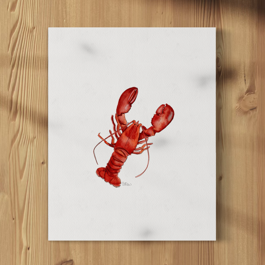 Red lobster illustration on a white background