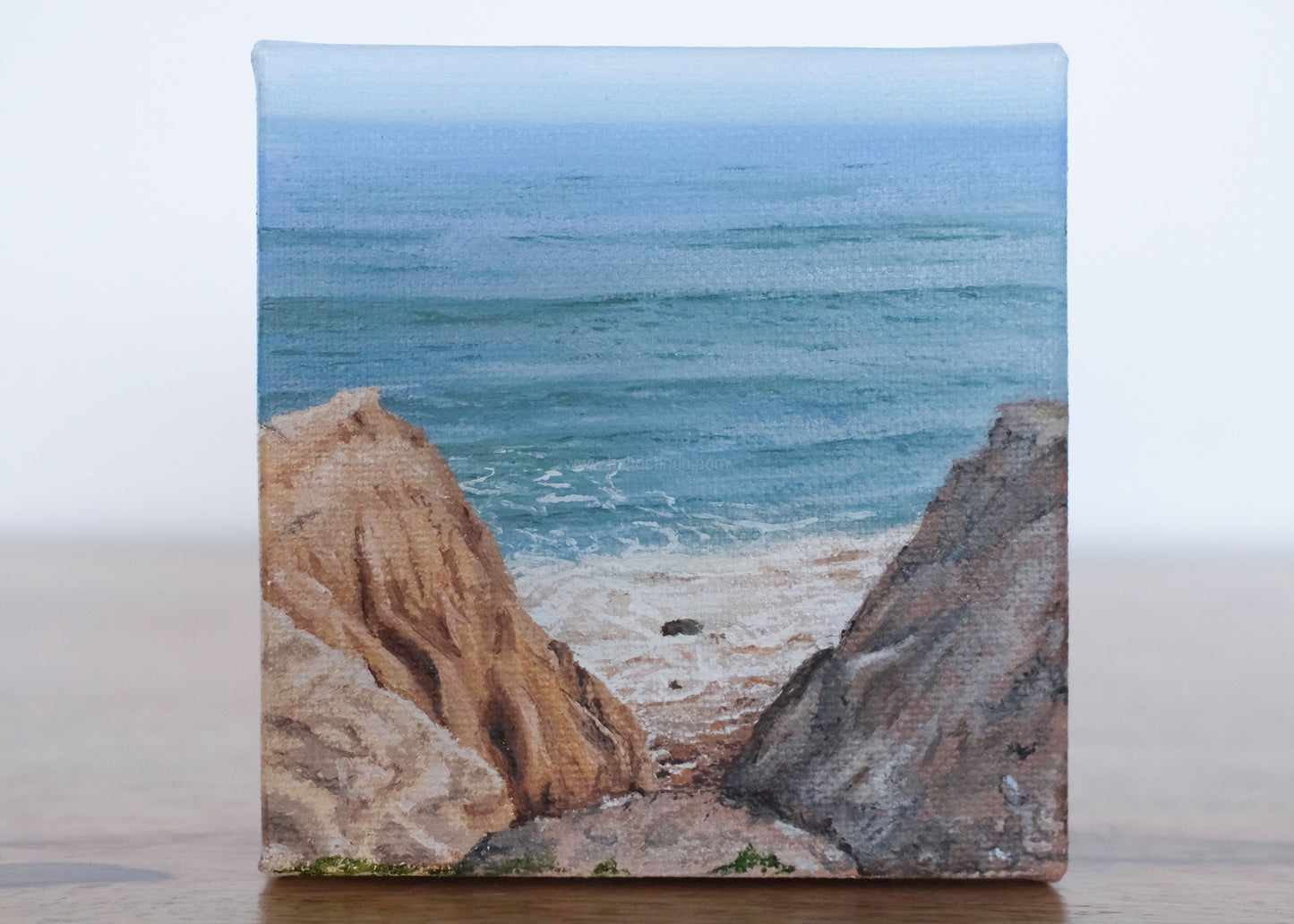 Mini #14 - 2025 Collection