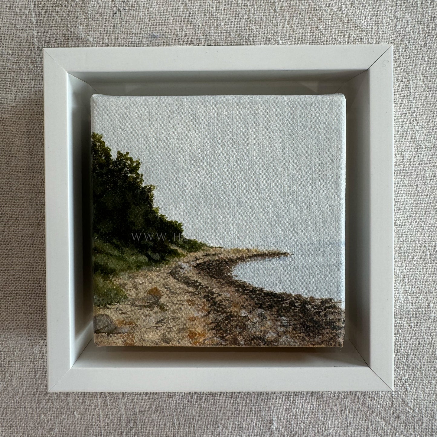 Mini #18 - 2024 Collection