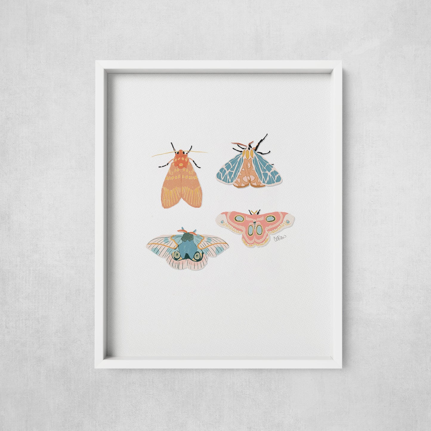 Moths - Print
