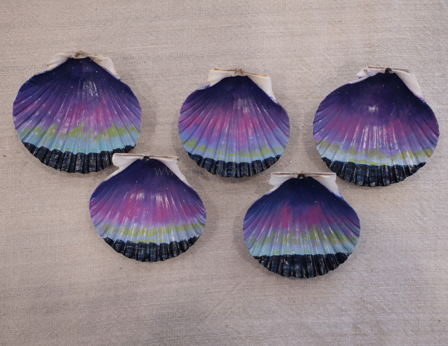 Seashell Ornament - Northern Lights