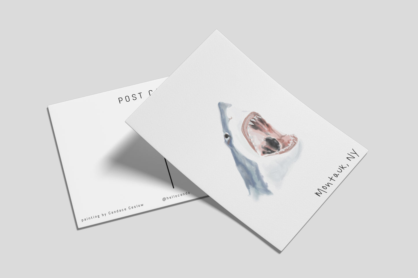 Great White Shark - Postcard