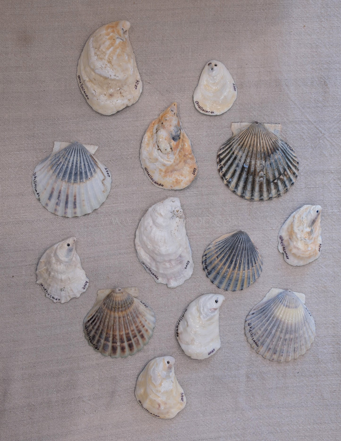Seashell Ornament - Double Dipped