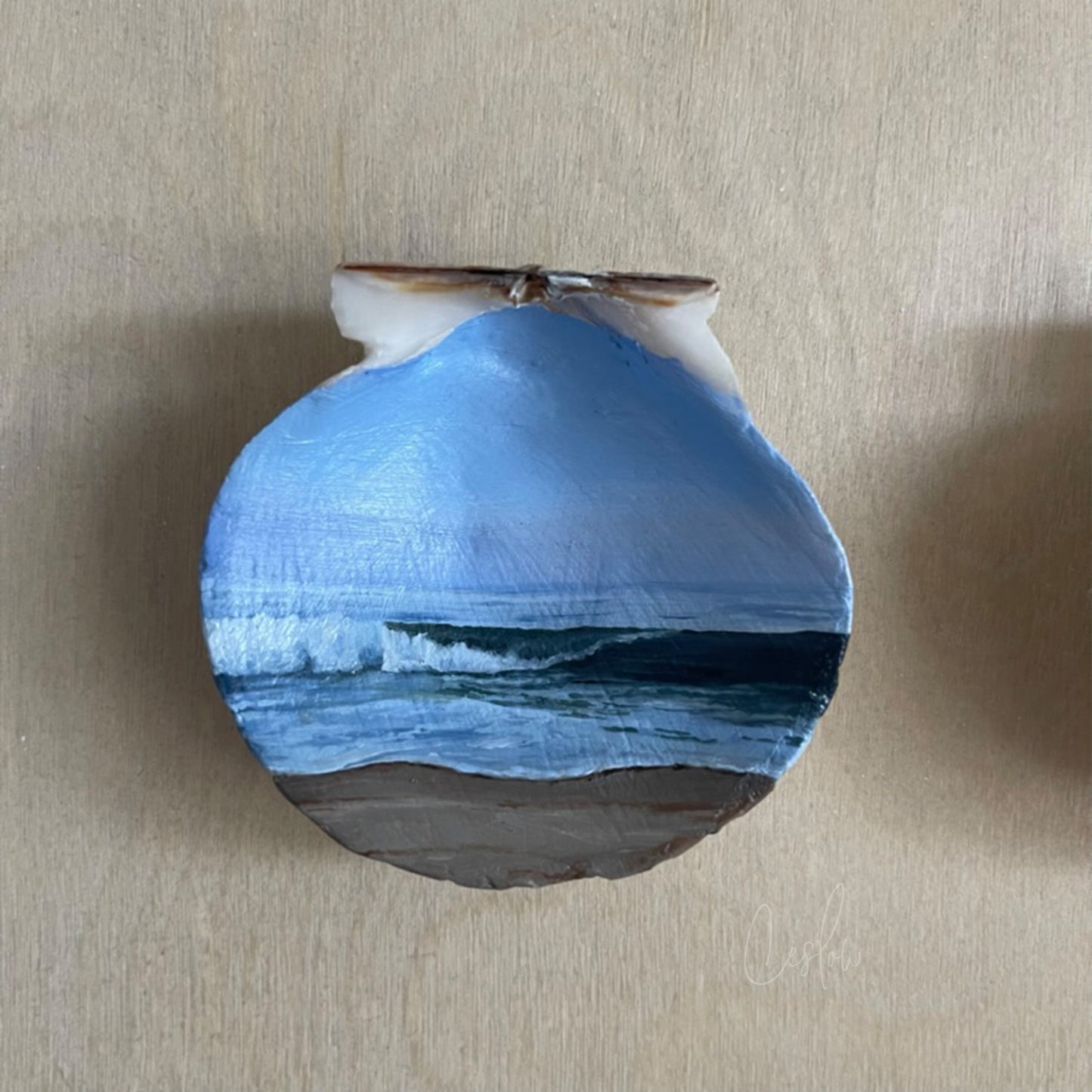 A Dance Across The Shoreline - The Seashell Collection