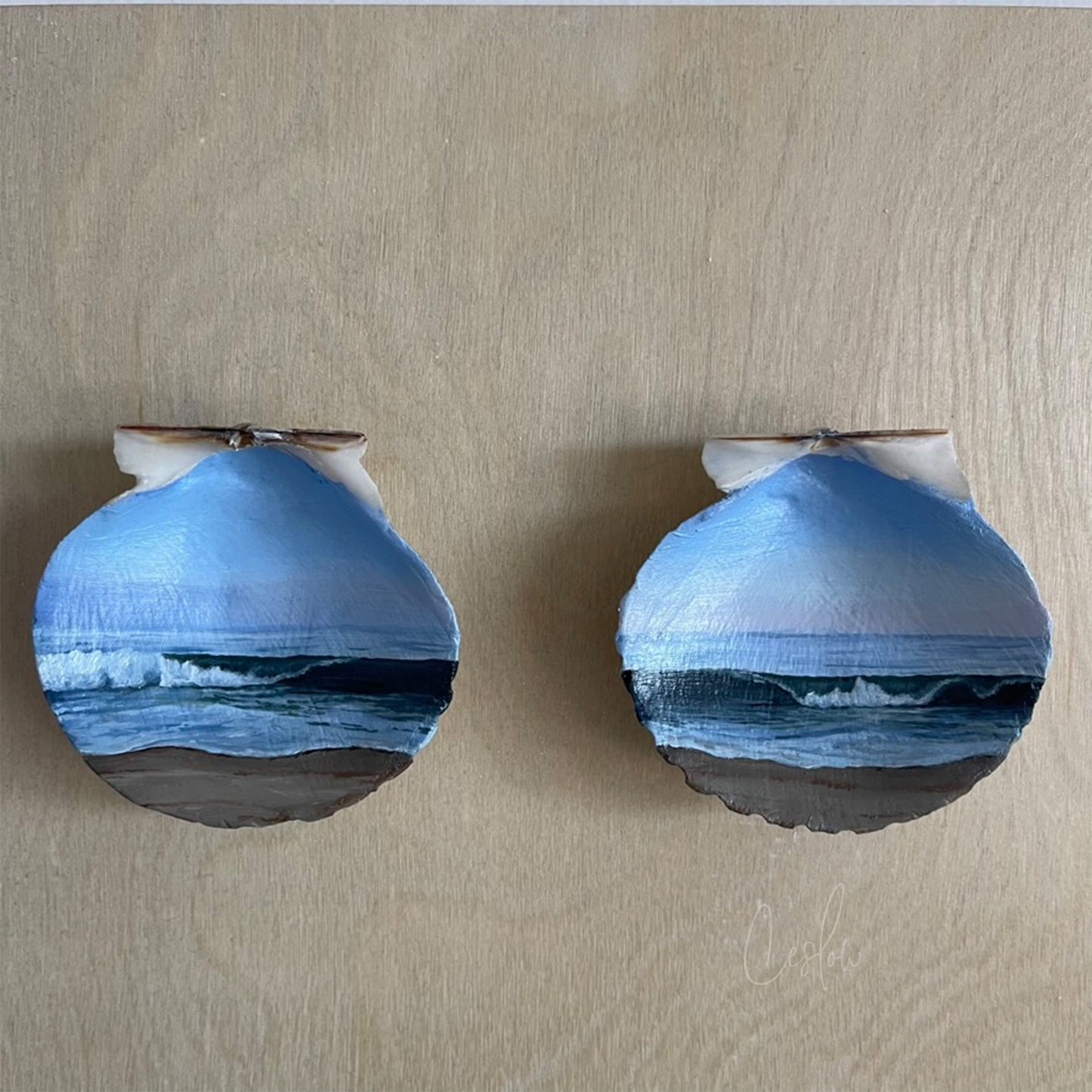 A Dance Across The Shoreline - The Seashell Collection