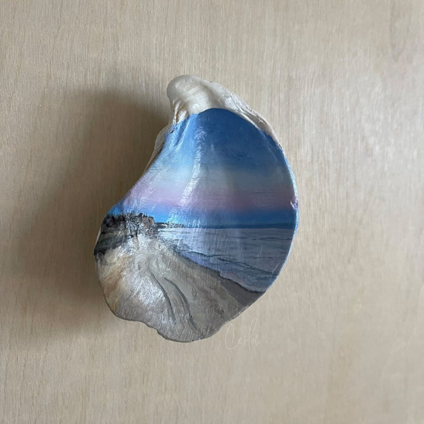 Sunset Trails - The Seashell Collection