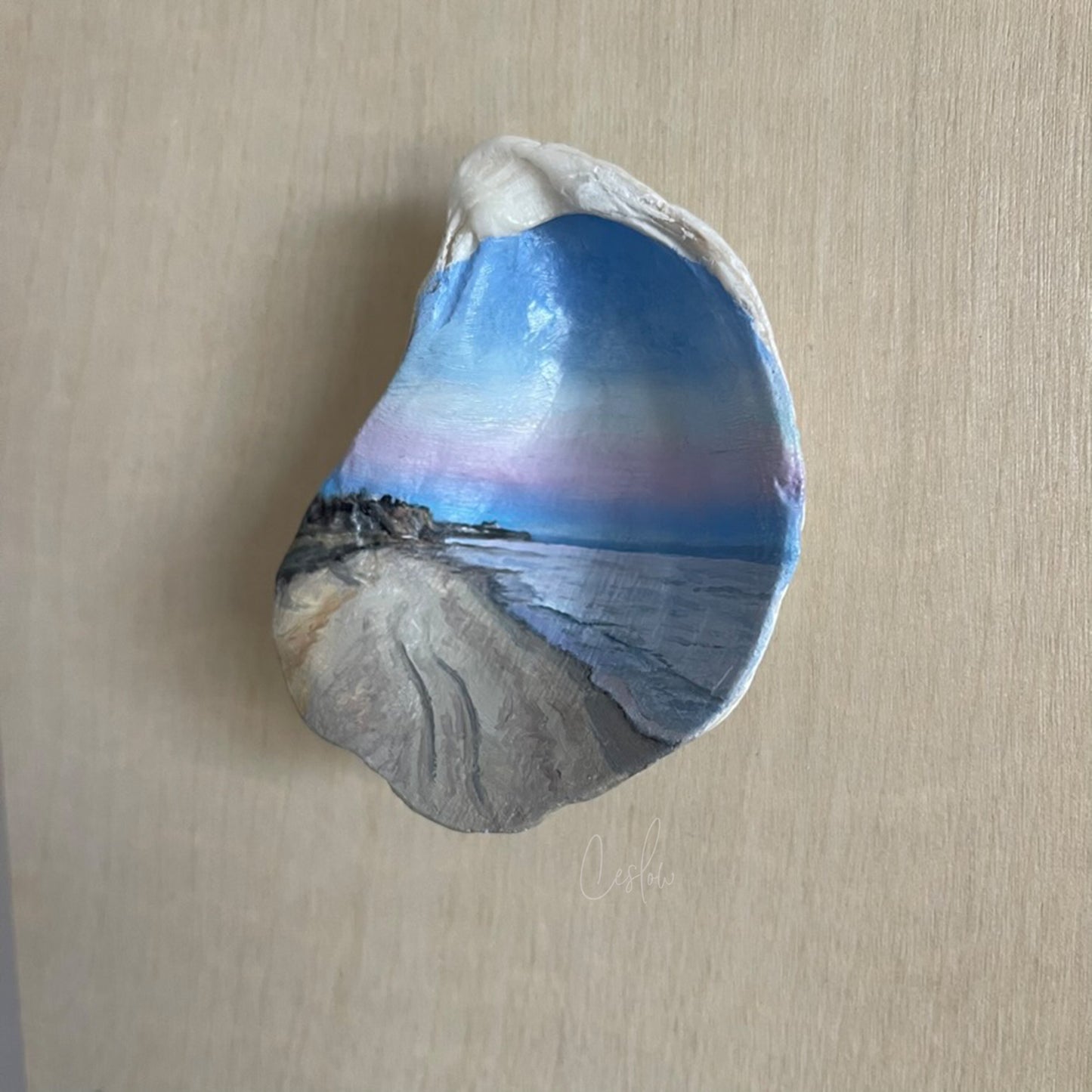 Sunset Trails - The Seashell Collection