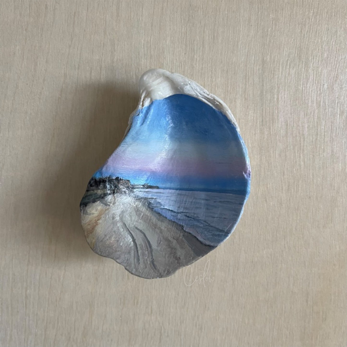 Sunset Trails - The Seashell Collection