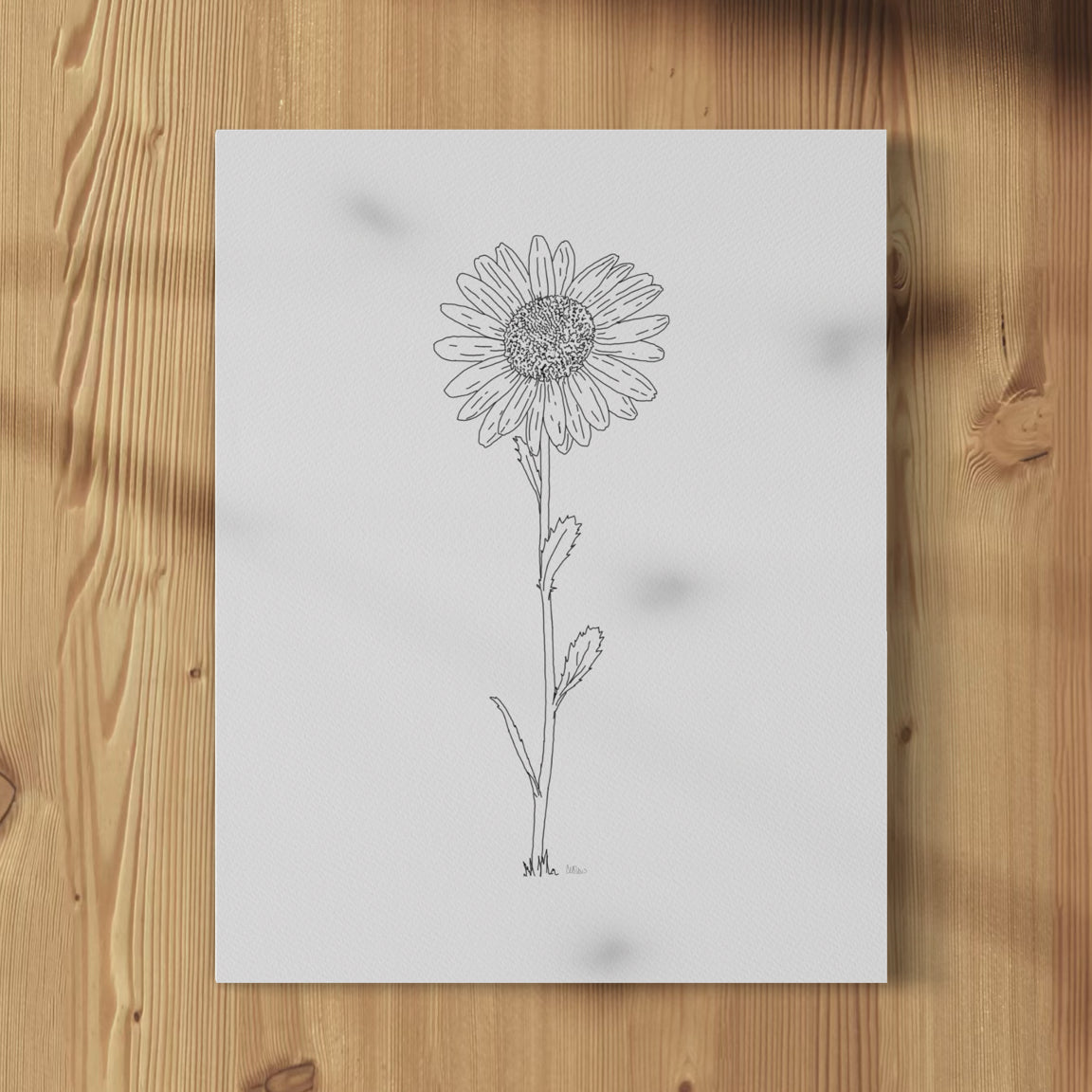 A framed print of a hand-drawn black ink illustration of a single daisy, displayed on a wall.