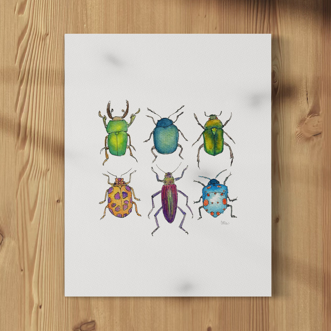 Beetles - Print