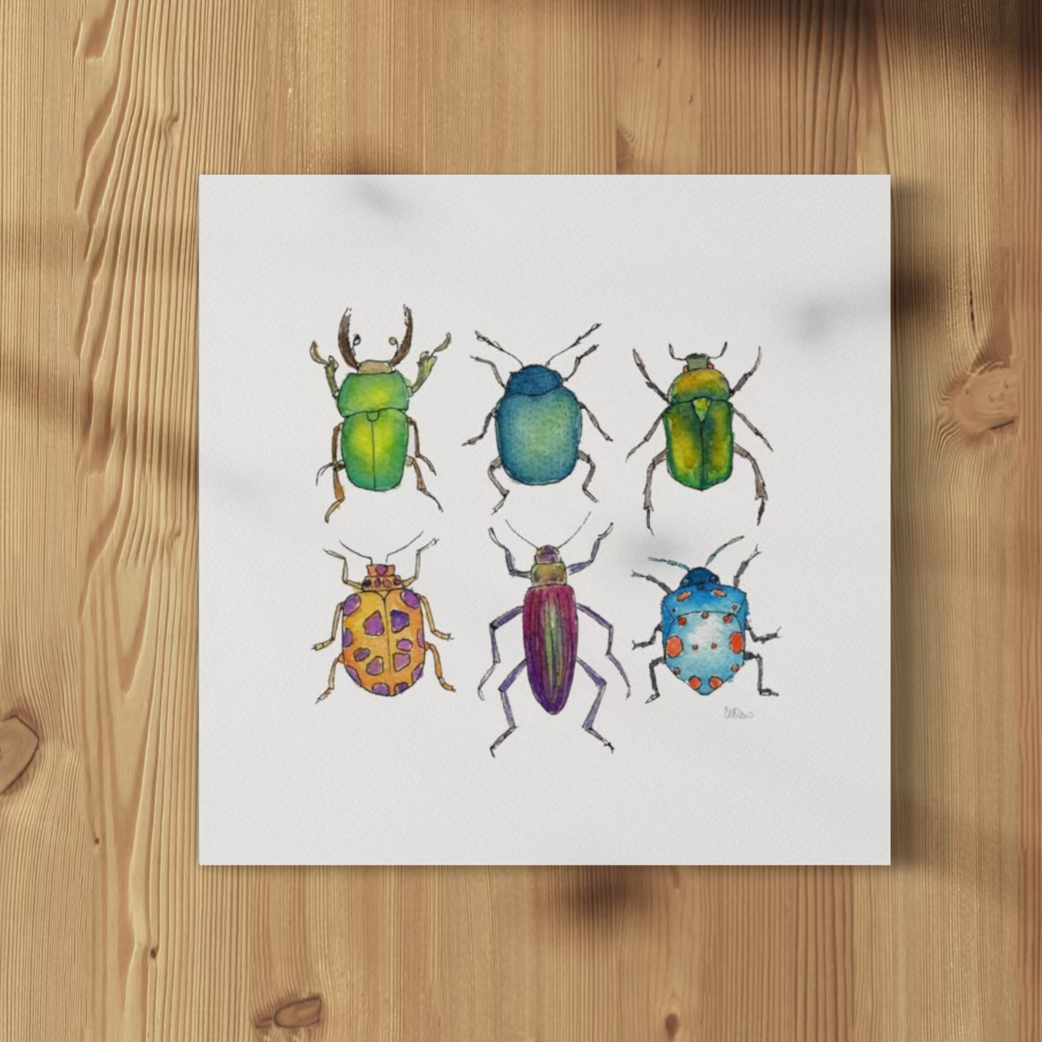 Beetles - Print