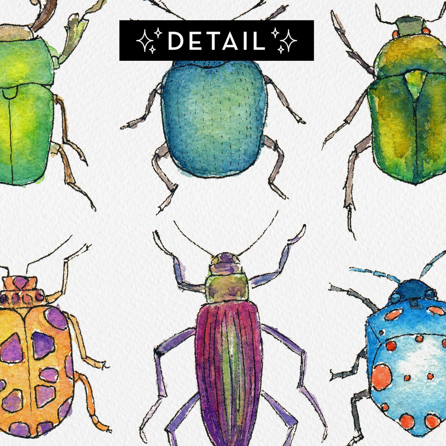 Beetles - Print