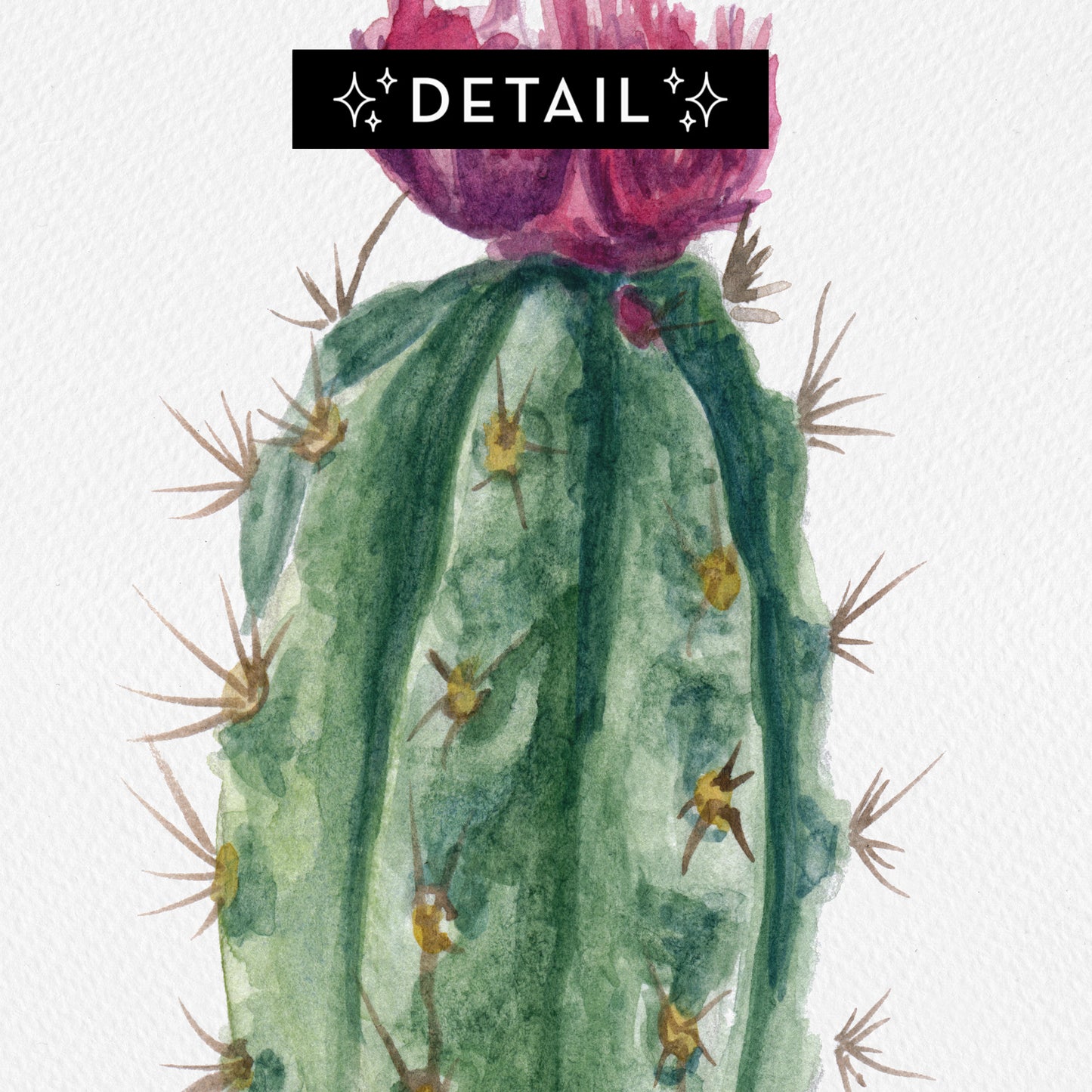 Cactus Flower - Print