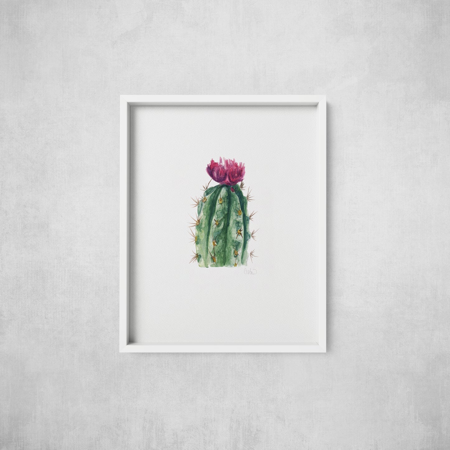 Cactus Flower - Print