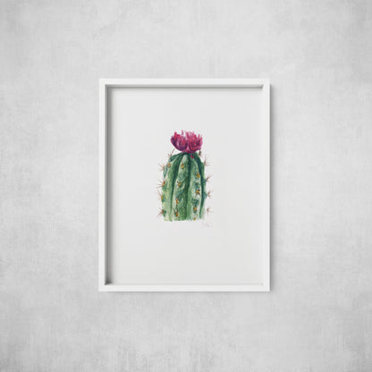 Cactus Flower - Print