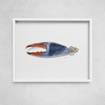 A framed watercolor print of a crab claw, with a blue, orange, and beige color palette, displayed against a white background.