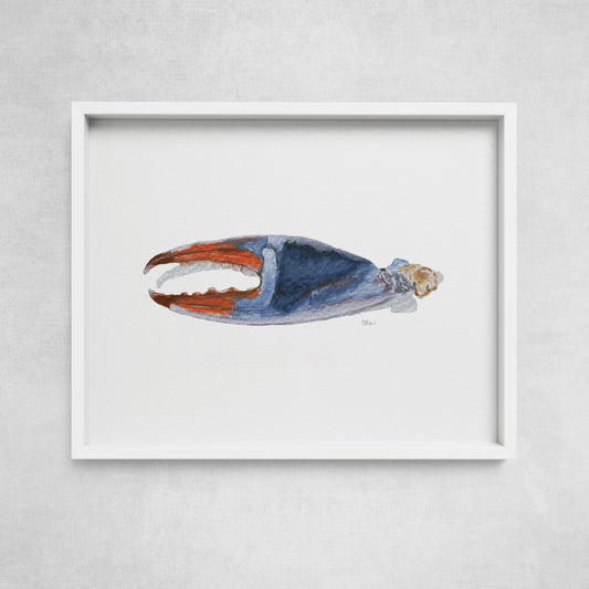 A framed watercolor print of a crab claw, with a blue, orange, and beige color palette, displayed against a white background.