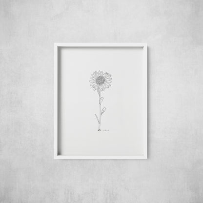 Daisy Line Drawing - Print