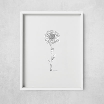 A framed print of a hand-drawn black ink illustration of a single daisy, displayed on a wall.