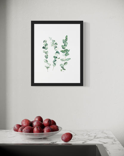 Eucalyptus Trio - Print