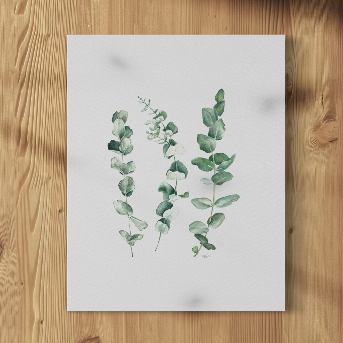 Eucalyptus Trio - Print