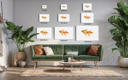 Goldfish - Print