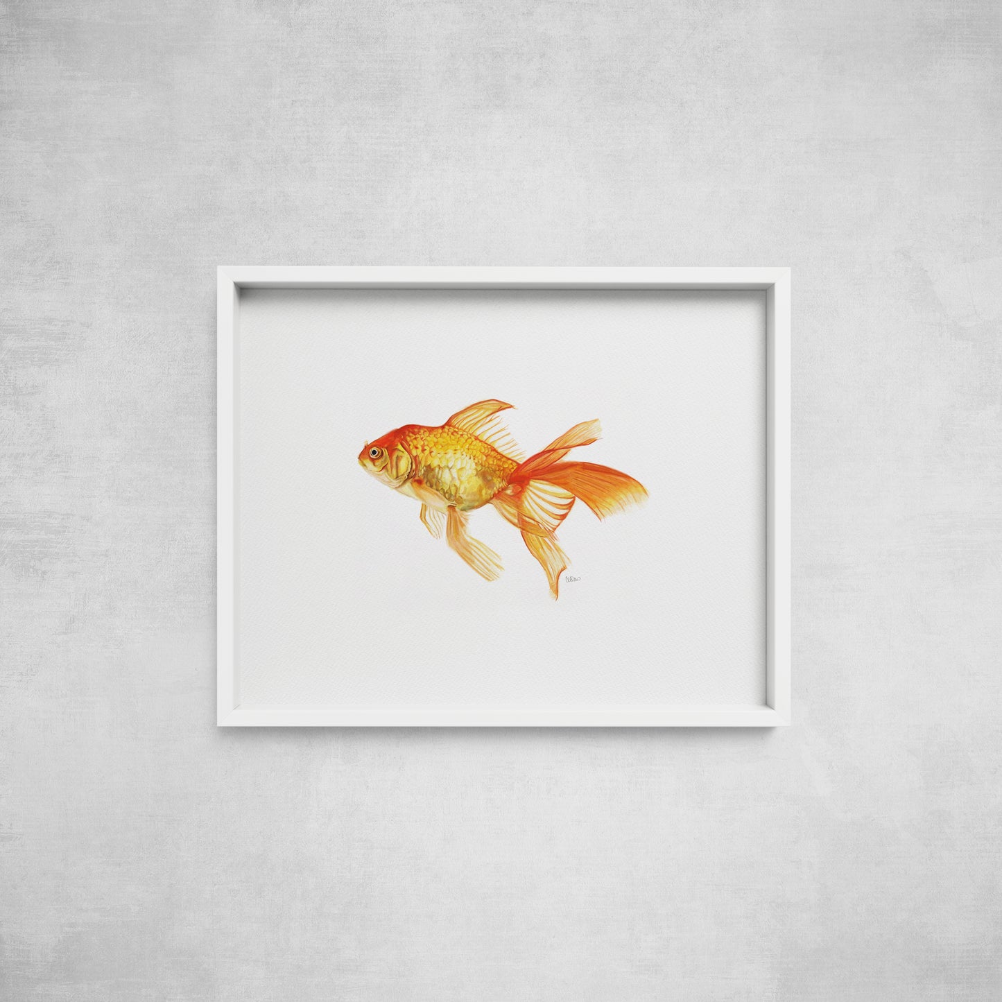 Goldfish - Print