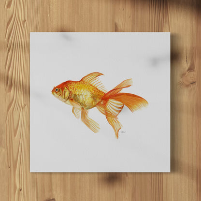 Goldfish - Print