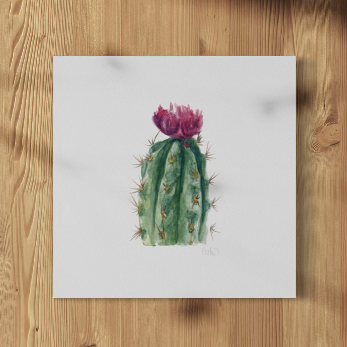 Cactus Flower - Print