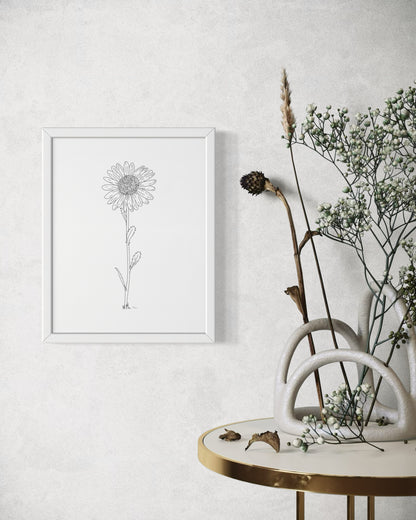 Daisy Line Drawing - Print