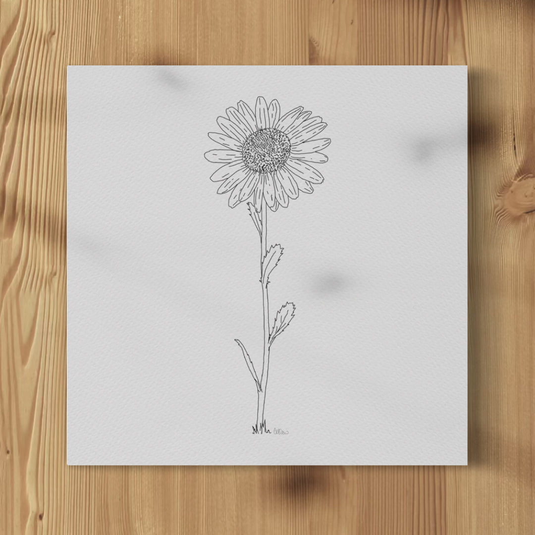 Daisy Line Drawing - Print