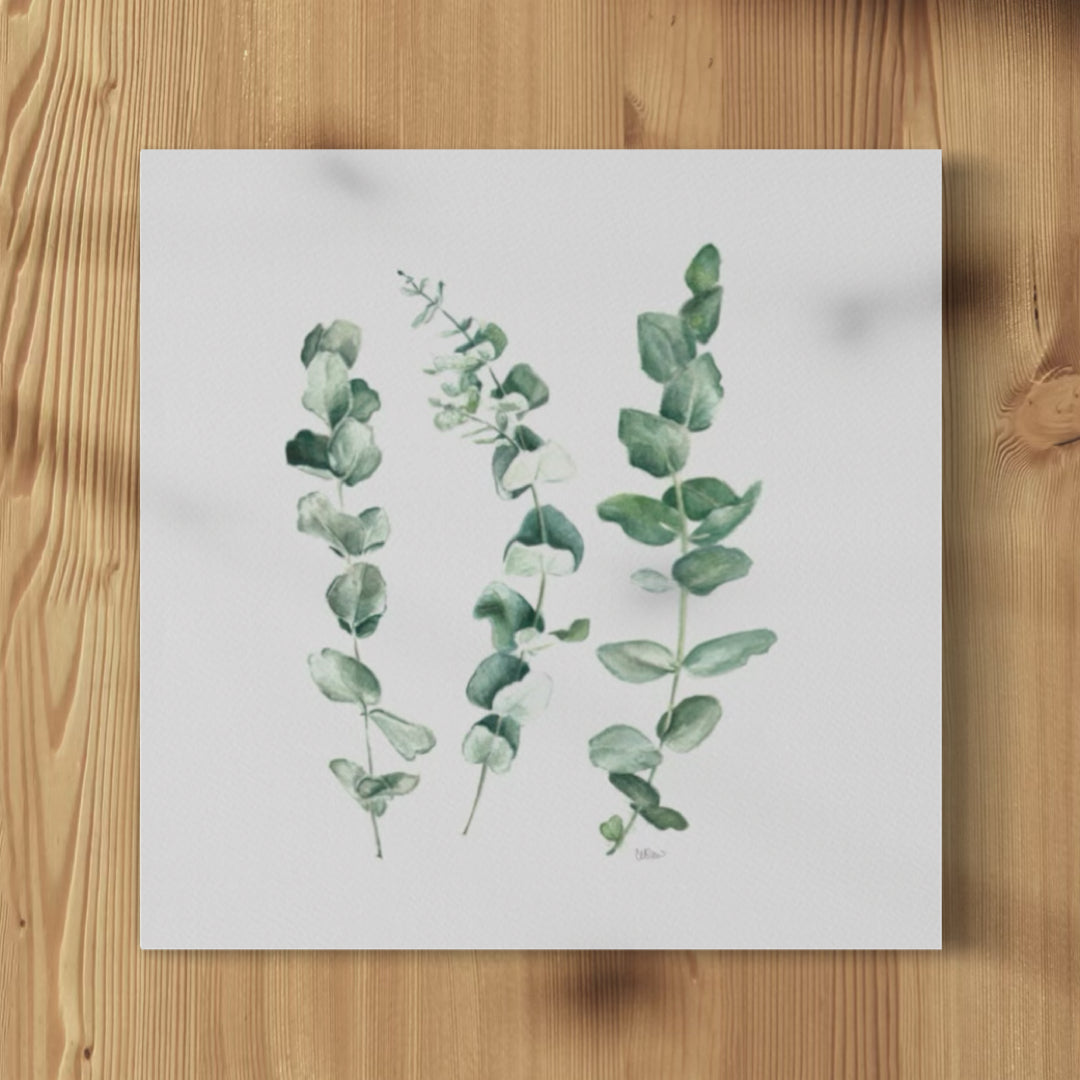 Eucalyptus Trio - Print