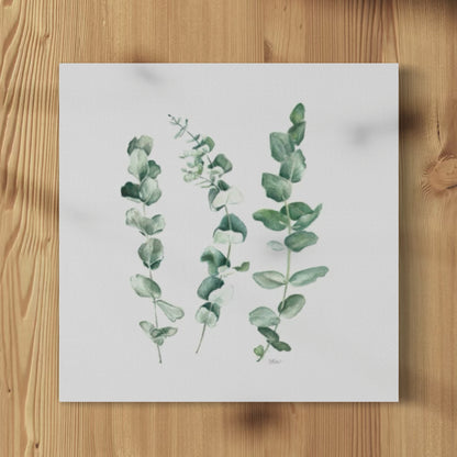 Eucalyptus Trio - Print