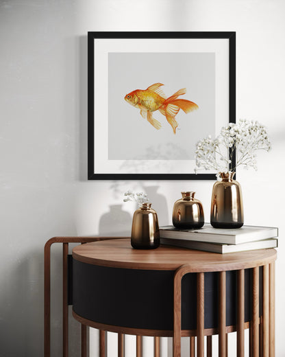 Goldfish - Print