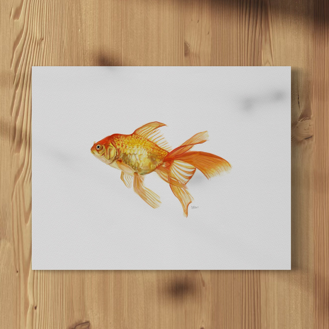 Goldfish - Print