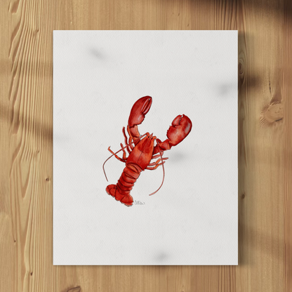 Red lobster illustration on a white background